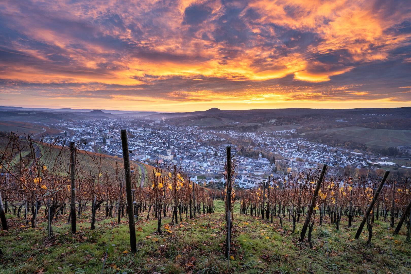 Blick auf Ahrweiler_Herbst