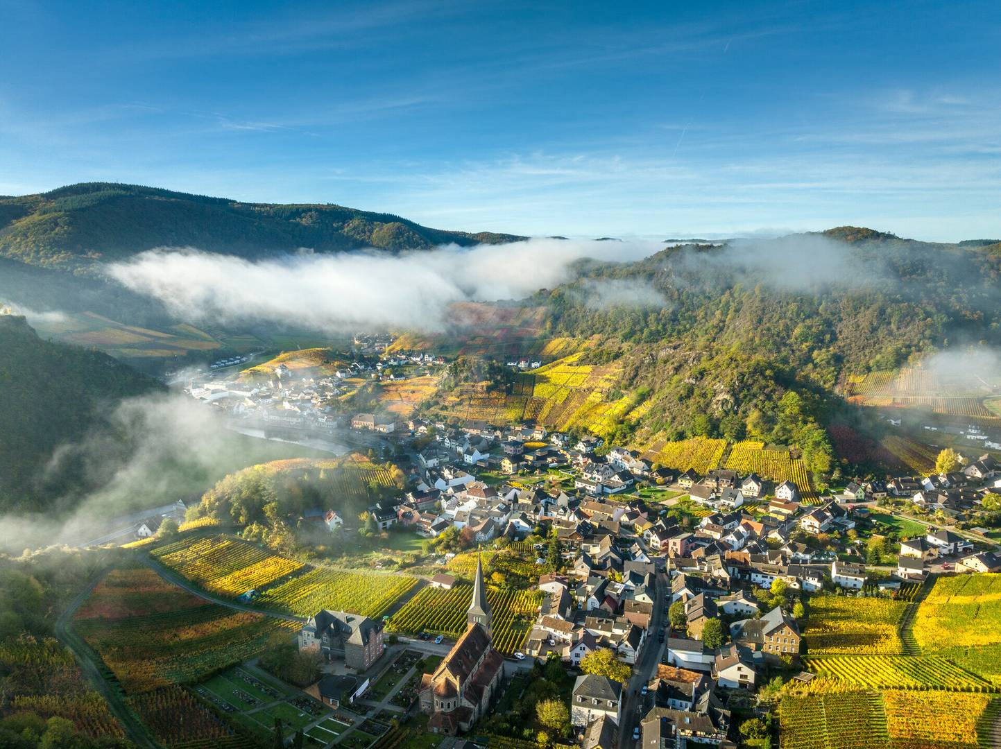 Michaelishof Mayschoß Herbst